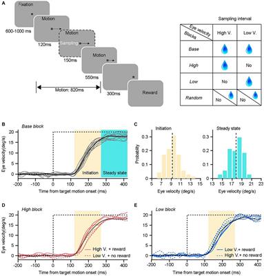 Sensorimotor-linked reward modulates smooth pursuit eye movements in monkeys